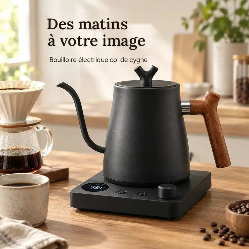 Bouilloire électrique col de cygne noire pour le café filtre
