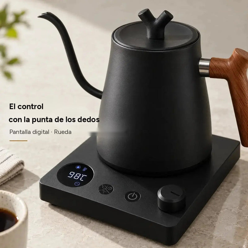 Pantalla digital y rueda de temperatura del hervidor